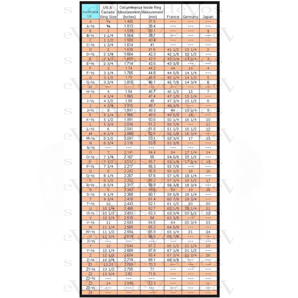Signet "Shield" Ring 4